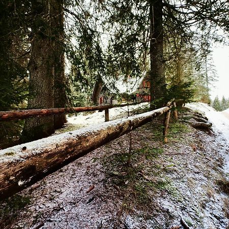 Chalet Stara Jelka Pokljuka Zgornje Gorje Luaran gambar
