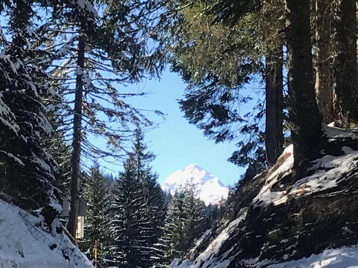 Chalet Stara Jelka Pokljuka Zgornje Gorje Luaran gambar