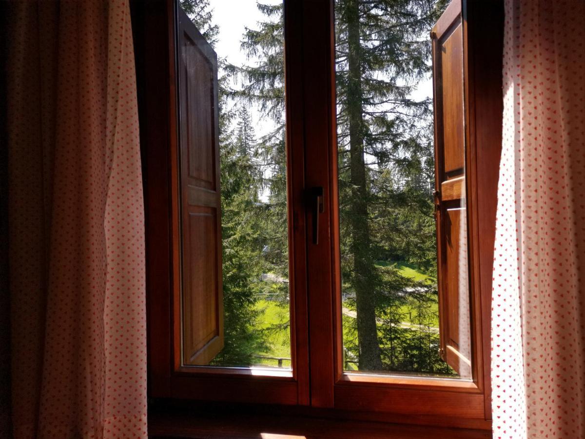 Chalet Stara Jelka Pokljuka Zgornje Gorje Luaran gambar