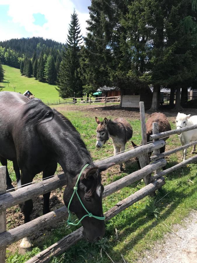 Chalet Stara Jelka Pokljuka Zgornje Gorje Luaran gambar