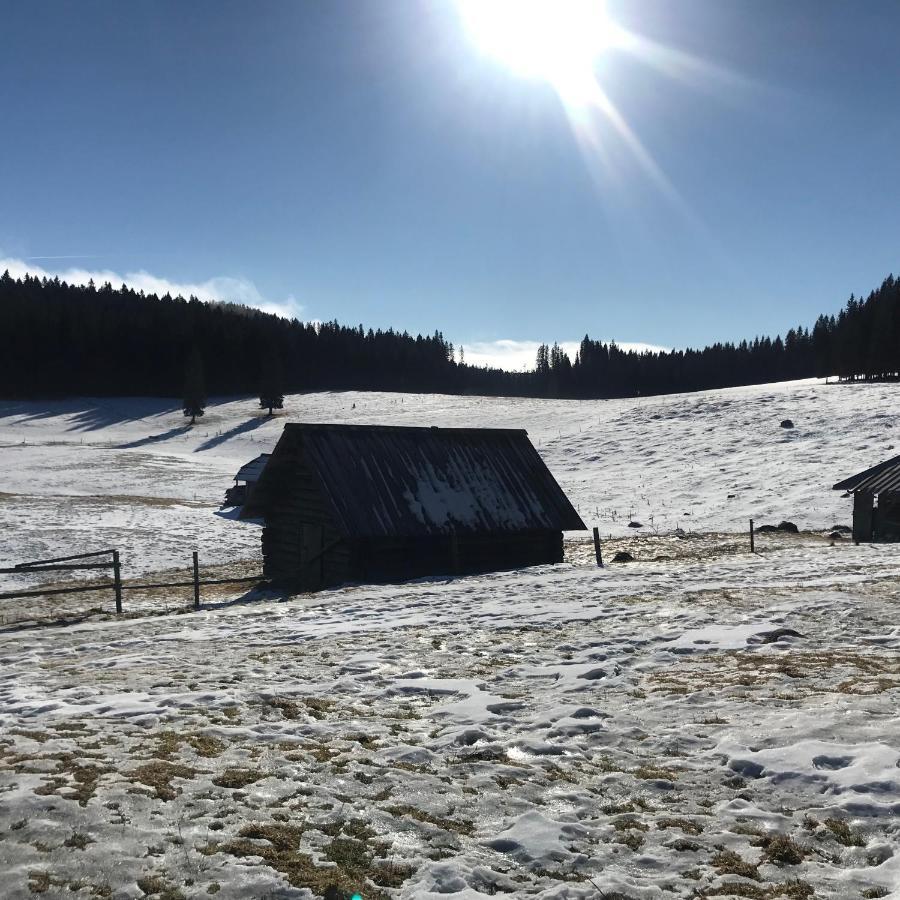 Chalet Stara Jelka Pokljuka Zgornje Gorje Luaran gambar