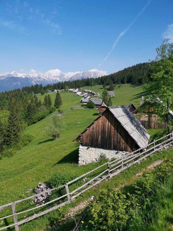 Chalet Stara Jelka Pokljuka Zgornje Gorje Luaran gambar