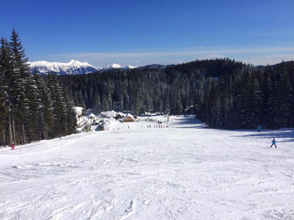 Chalet Stara Jelka Pokljuka Zgornje Gorje Luaran gambar