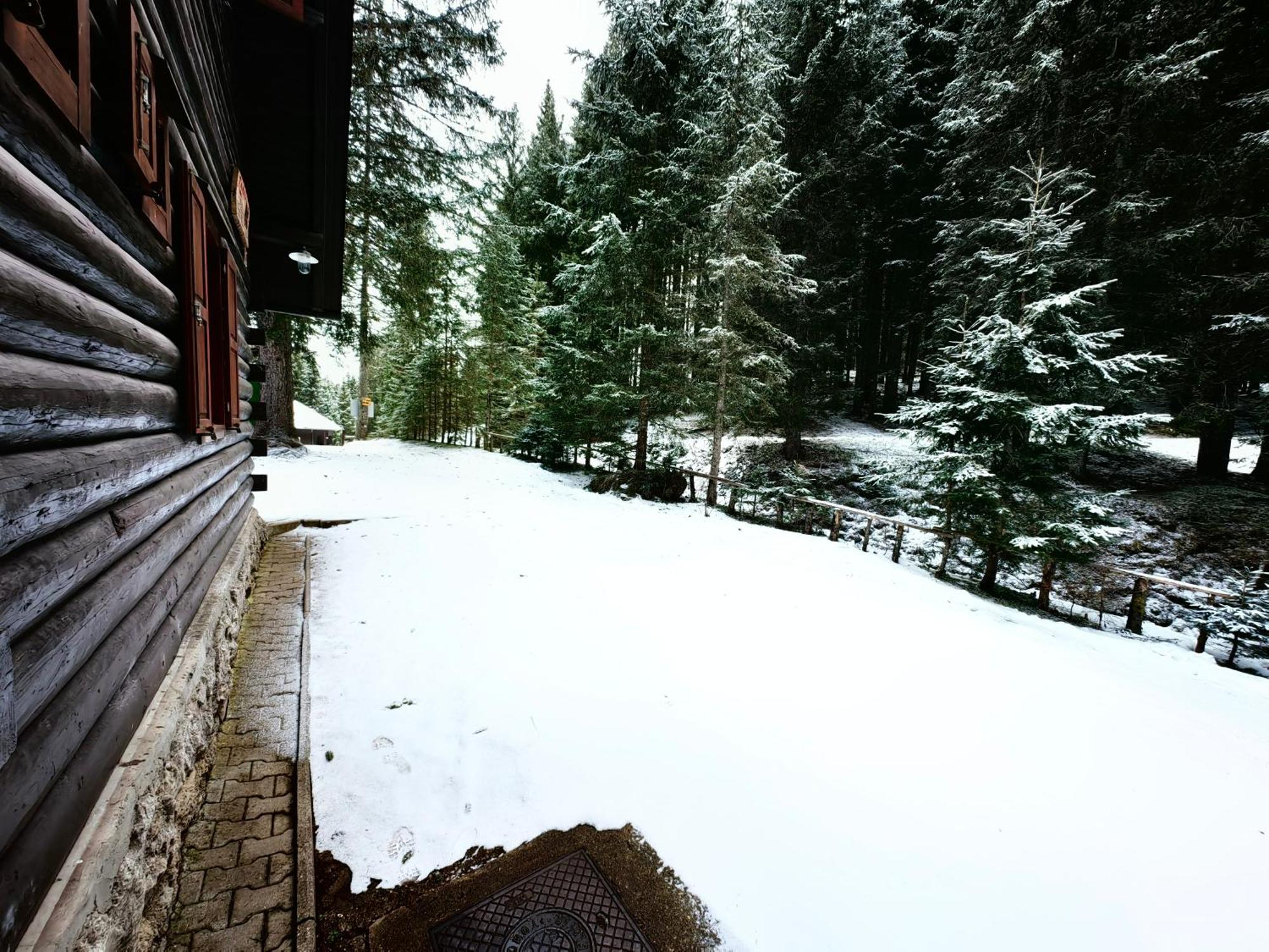 Chalet Stara Jelka Pokljuka Zgornje Gorje Luaran gambar