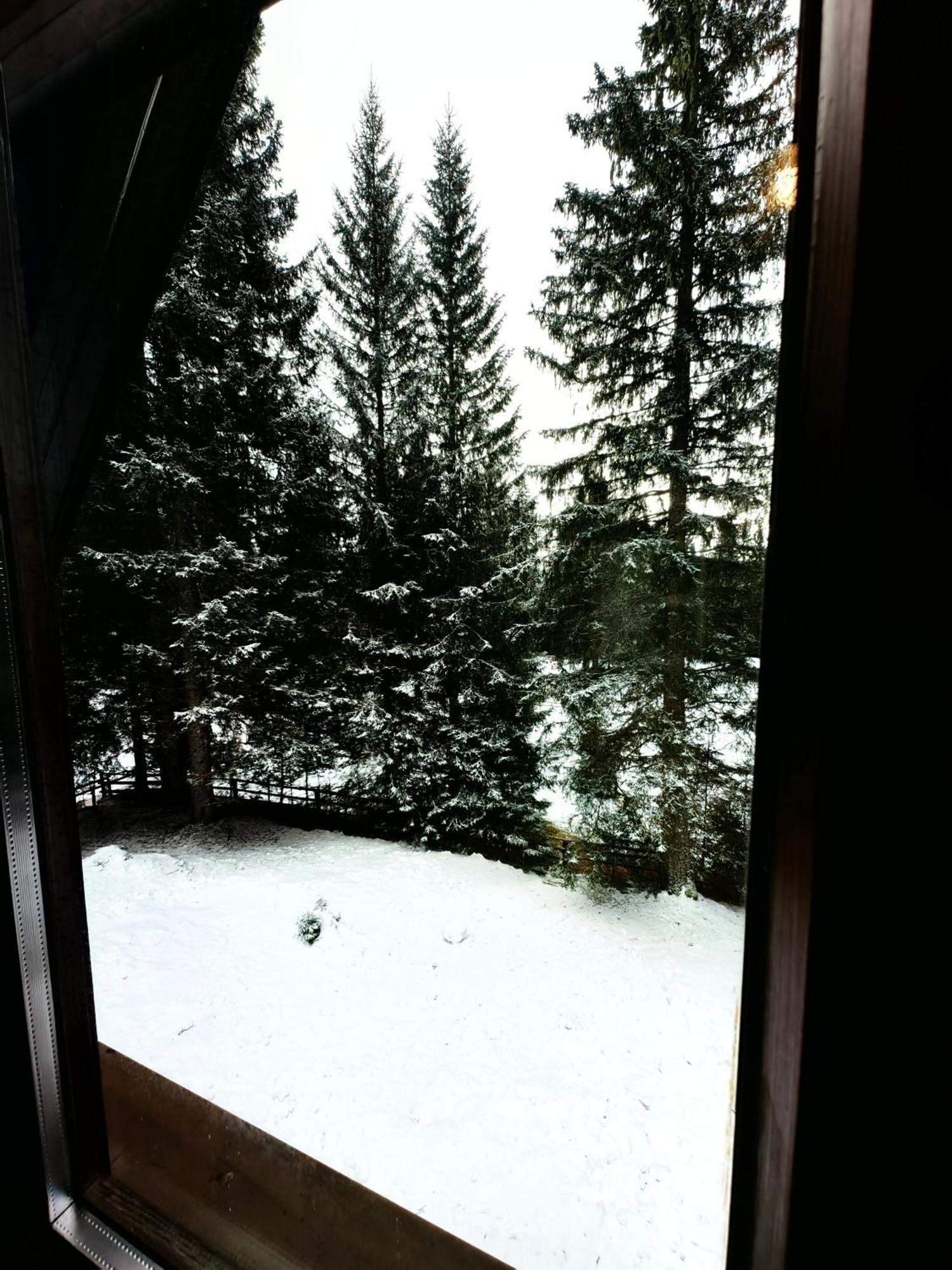 Chalet Stara Jelka Pokljuka Zgornje Gorje Luaran gambar
