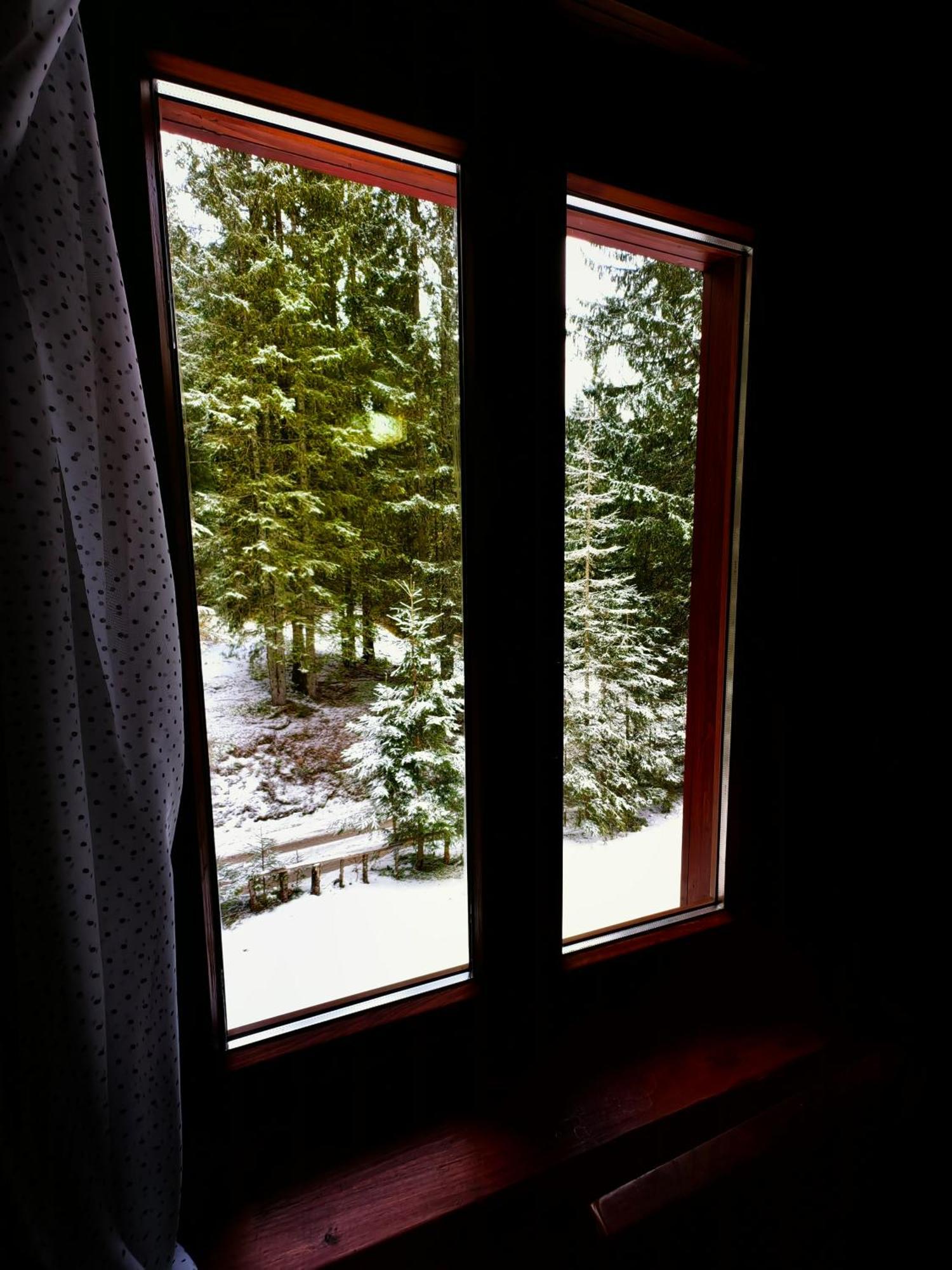 Chalet Stara Jelka Pokljuka Zgornje Gorje Luaran gambar